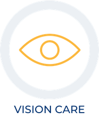 icon vision